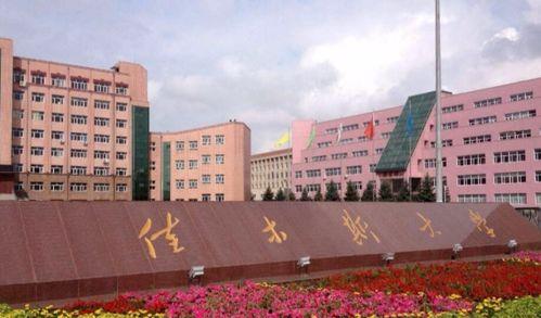 佳木斯大学爆料事件视频,视频揭露惊人真相  第1张